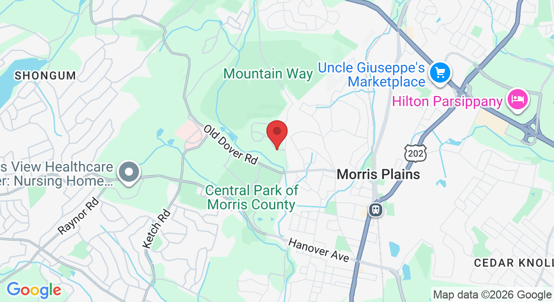 19 Averell Dr, Morris Plains, NJ 07950, USA