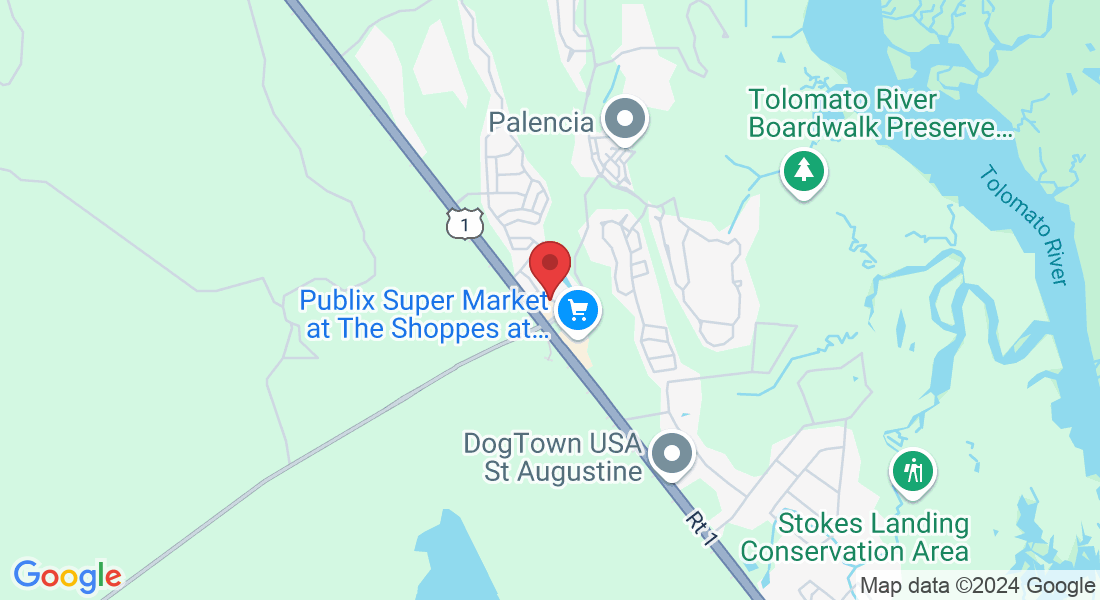 302 Paseo Reyes Dr, St. Augustine, FL 32095, USA