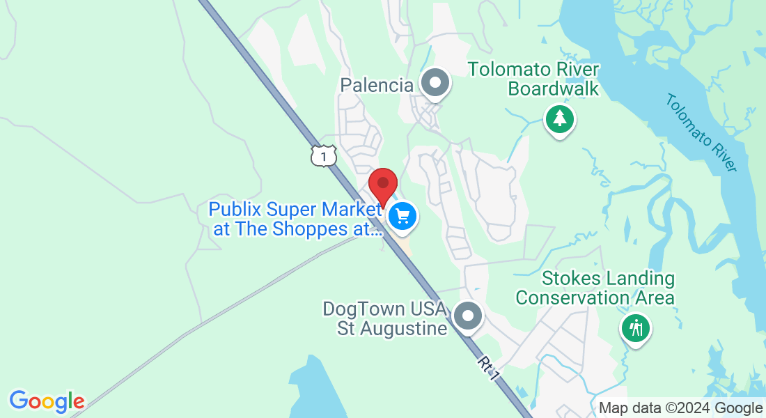 302 Paseo Reyes Dr, St. Augustine, FL 32095, USA