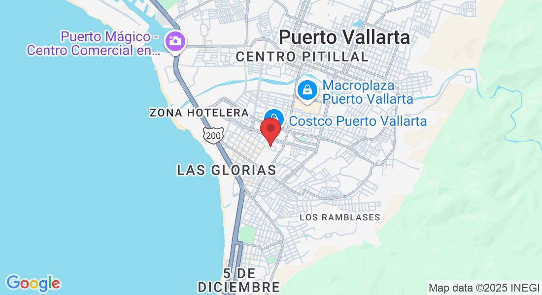 Pez gallo, Los Mangos 924, Las Gaviotas, 48300 Puerto Vallarta, Jal., Mexico