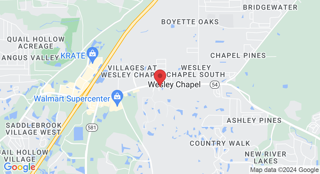 29139 Chapel Park Dr, Zephyrhills, FL 33543, USA