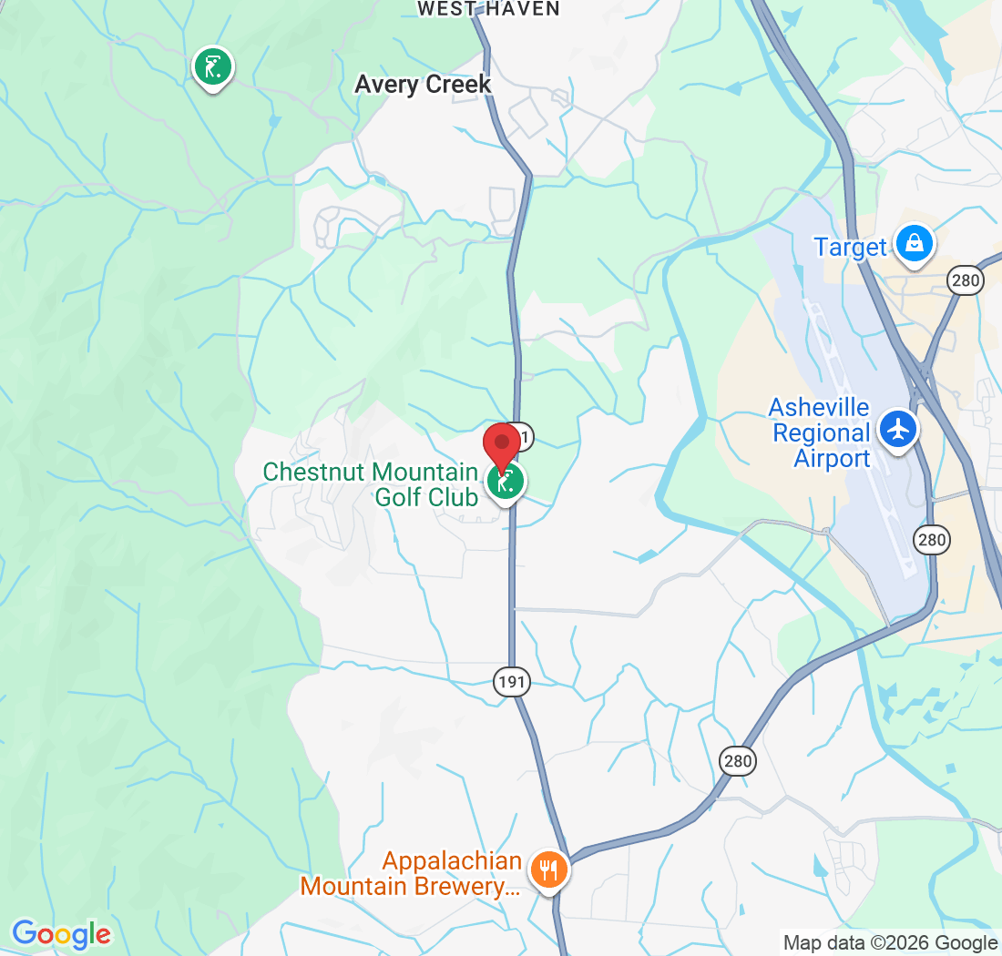 610 Vista Falls Rd, Mills River, NC 28759, USA