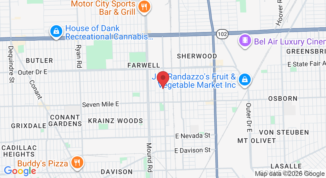 19347 Mt Elliott St, Detroit, MI 48234, USA