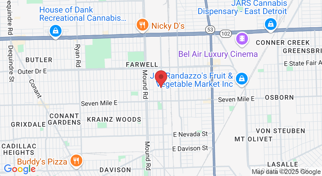 19347 Mt Elliott St, Detroit, MI 48234, USA