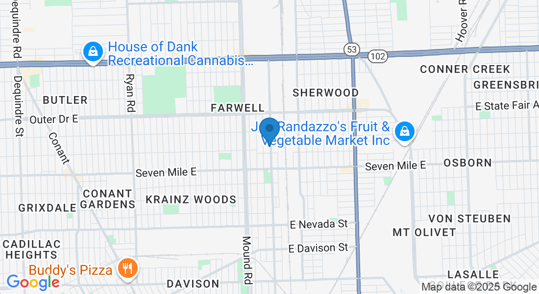 19347 Mt Elliott St, Detroit, MI 48234, USA