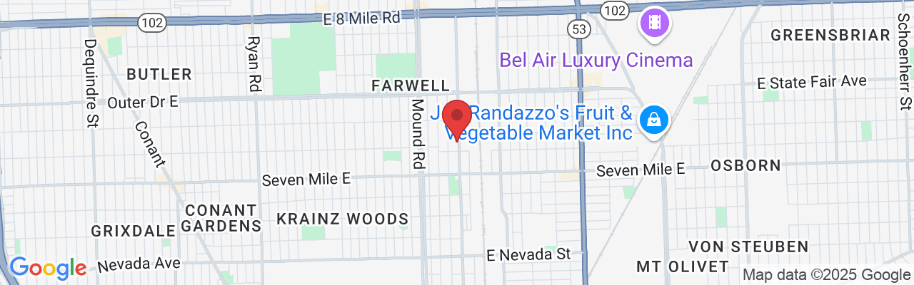 19347 Mt Elliott St, Detroit, MI 48234, USA