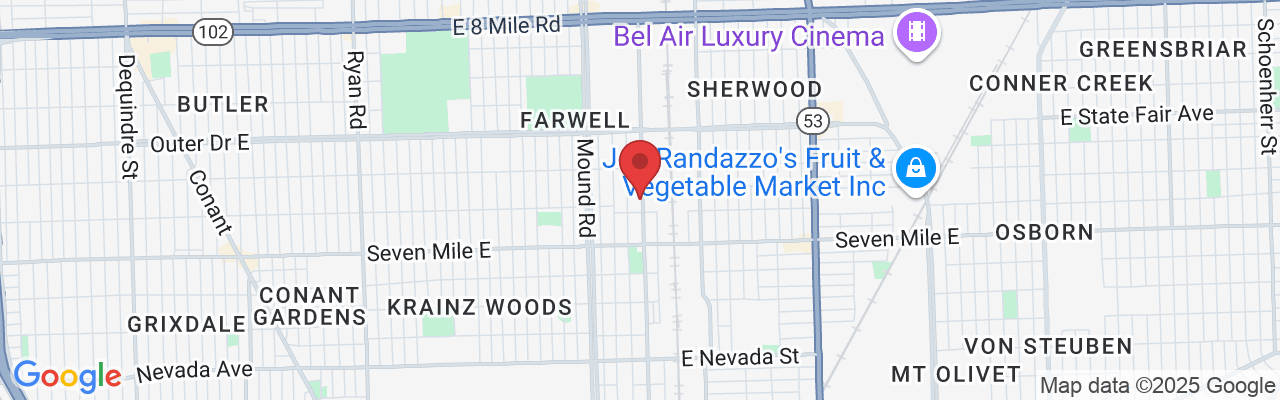 19347 Mt Elliott St, Detroit, MI 48234, USA