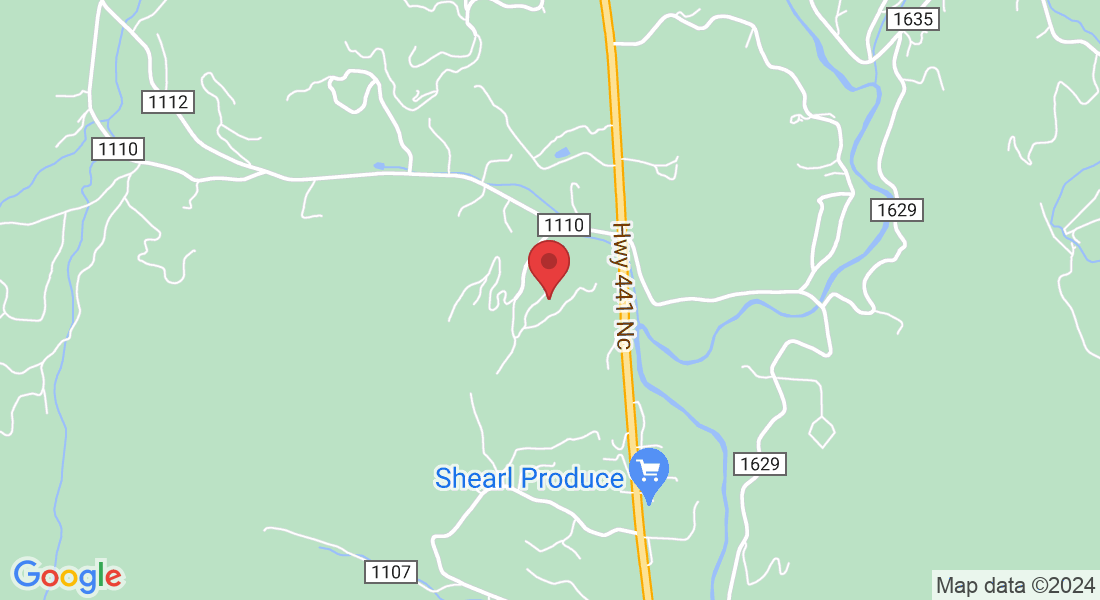 135 Ridge Rd, Otto, NC 28763, USA