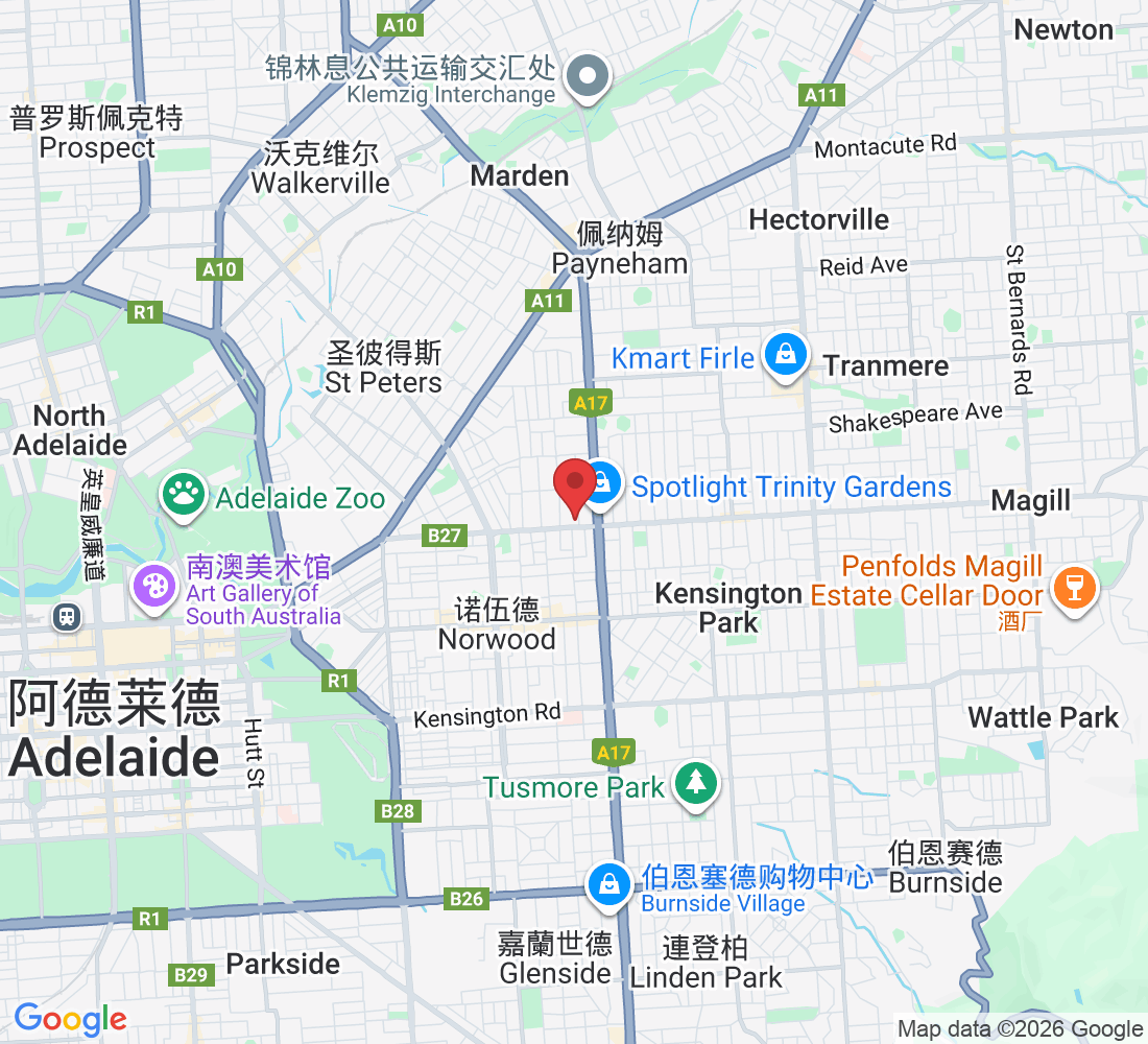 239 Magill Rd, Maylands SA 5069澳大利亚