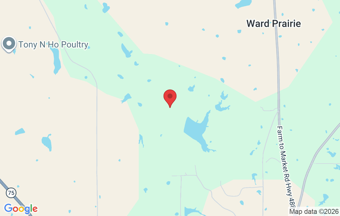 Freestone County, TX, USA