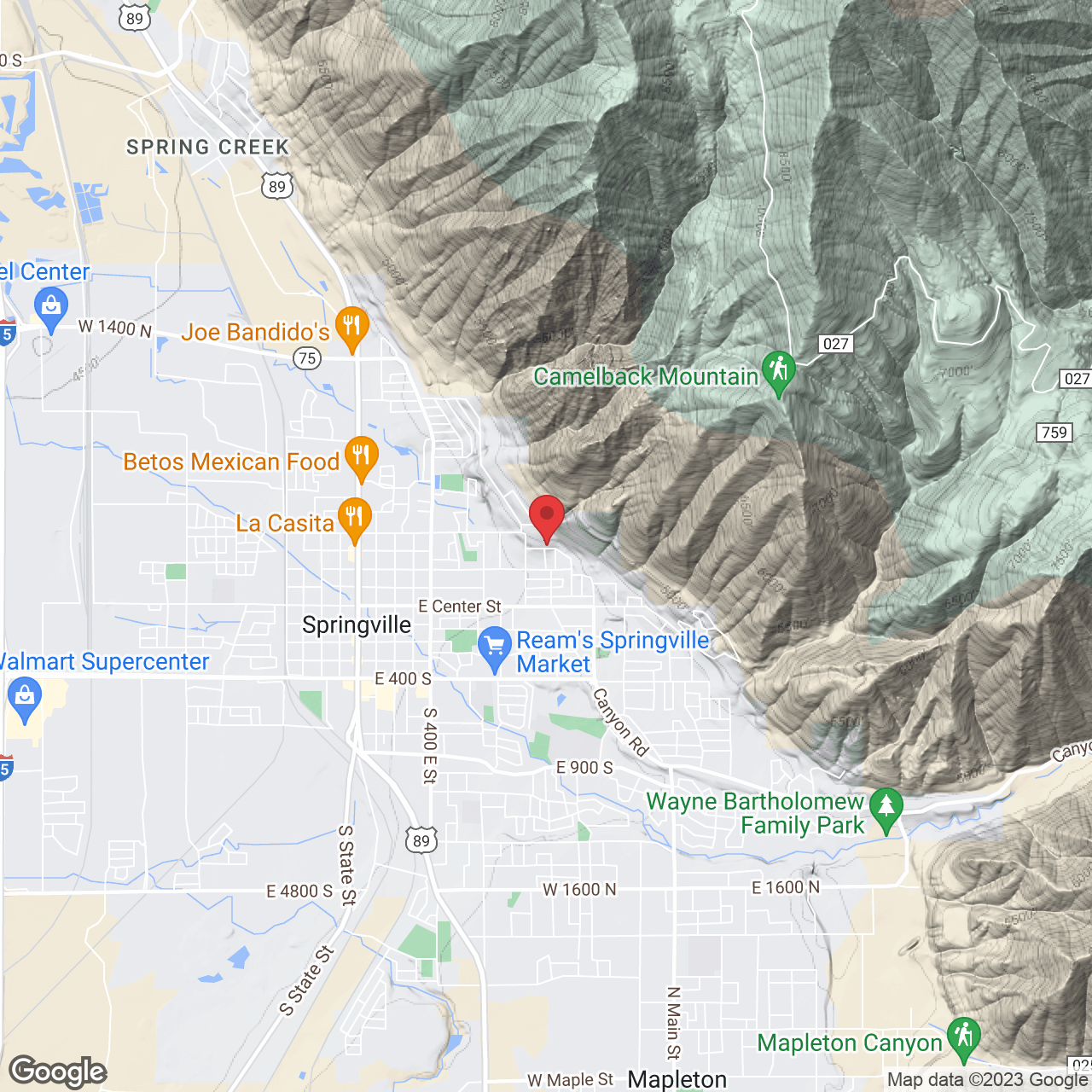 1055 E 300 N, Springville, UT 84663, USA