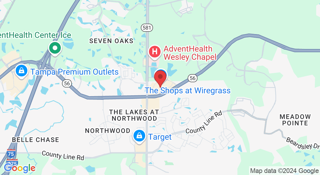 28210 Paseo Drive suite 300, Wesley Chapel, FL 33543, USA