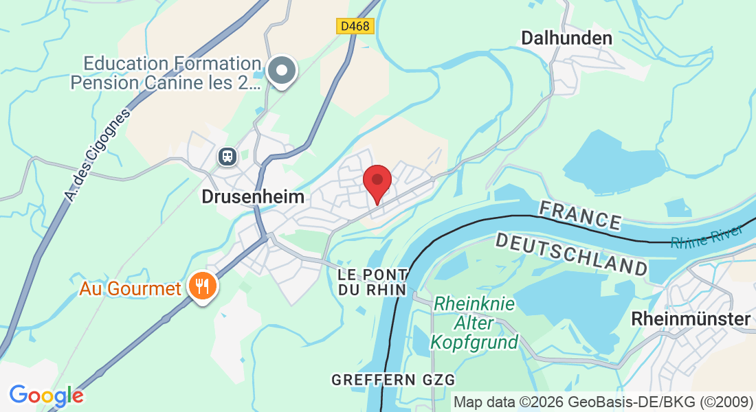 25 Rue de Dalhunden, 67410 Drusenheim, France