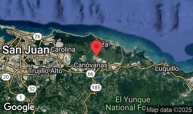 94W6+QVR, San Isidro, Canóvanas 00729, Puerto Rico