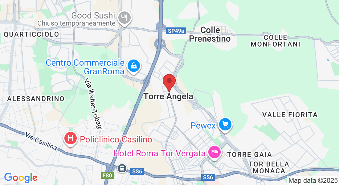 Via di Torrenova, 248, 00133 Roma RM, Italia