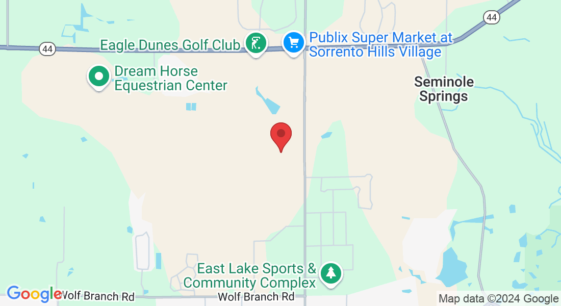 33405 Affirmed Wy, Sorrento, FL 32776, USA