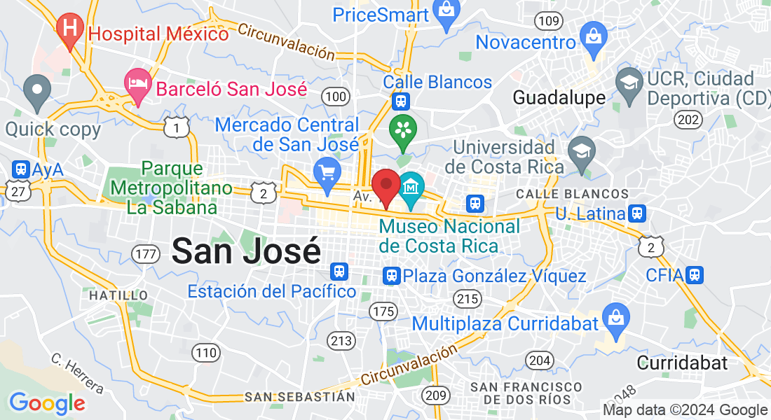 SAN JOSE, DE HOTEL EL REY, 175 MTS SUR, C. 9 CENTRO, San José, CENTRO, Catedral, 10104, Costa Rica