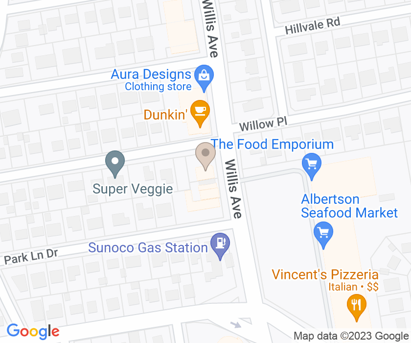 1041 Willis Ave, Albertson, NY 11507, USA