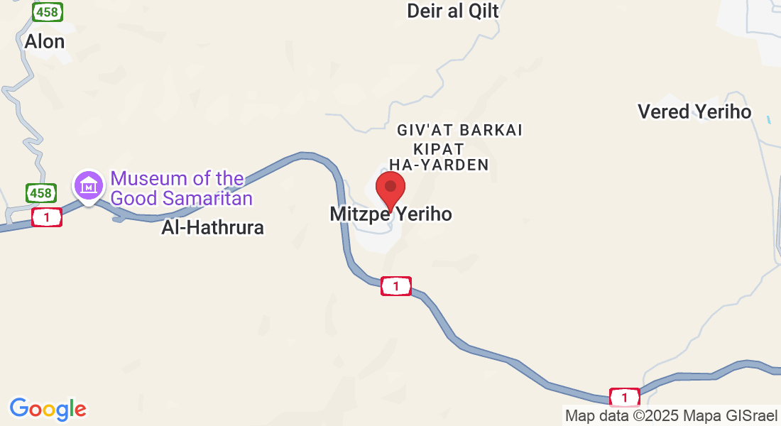 Mitzpe Yeriho