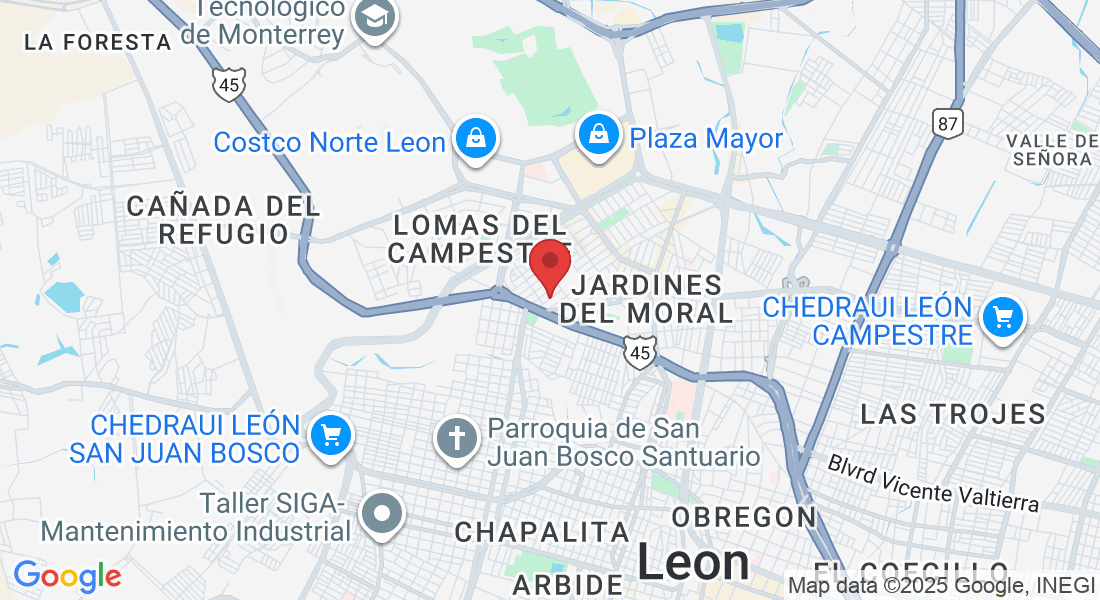 C. Pedro Lyonnet 136, Panorama, 37160 León de los Aldama, Gto., México