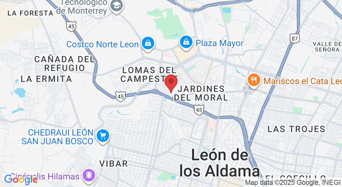 C. Pedro Lyonnet 136, Panorama, 37160 León de los Aldama, Gto., México