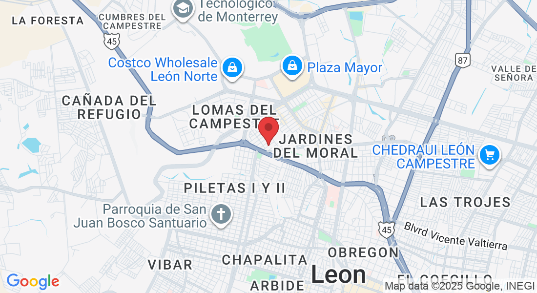 C. Pedro Lyonnet 136, Panorama, 37160 León de los Aldama, Gto., México