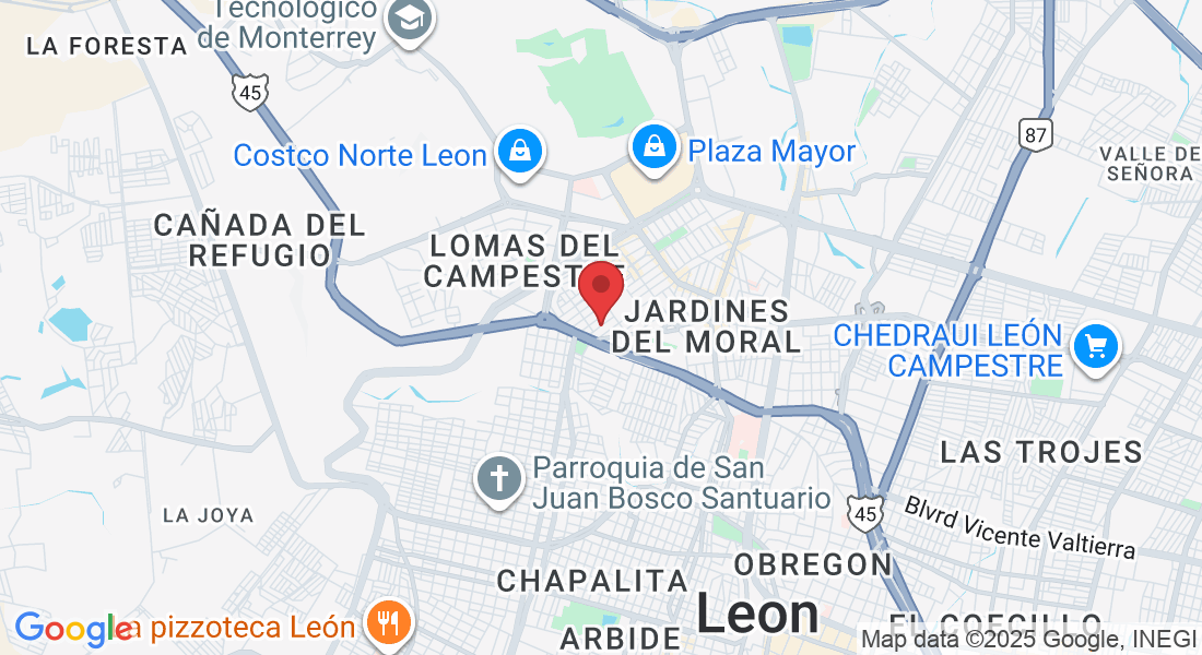 C. Pedro Lyonnet 136, Panorama, 37160 León de los Aldama, Gto., México