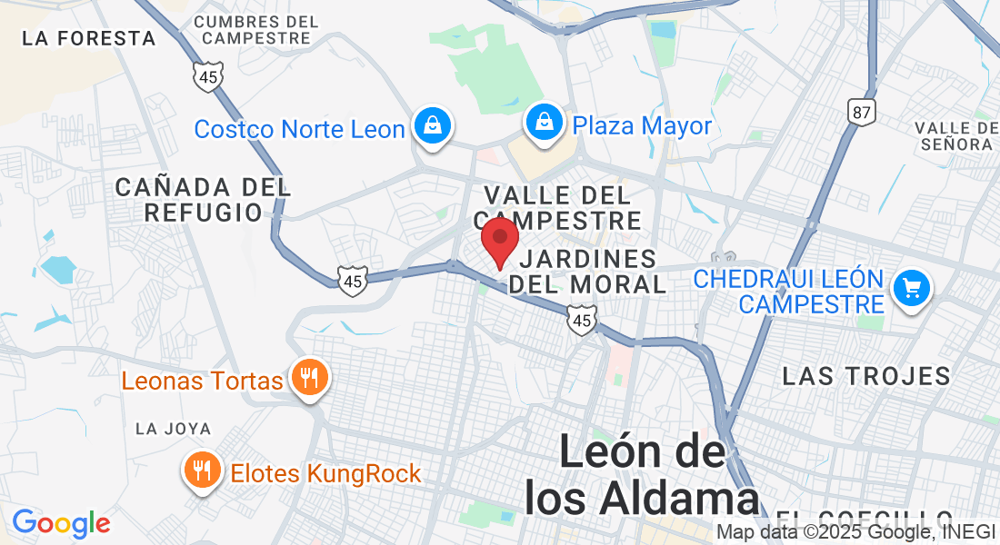 C. Pedro Lyonnet 136, Panorama, 37160 León de los Aldama, Gto., México