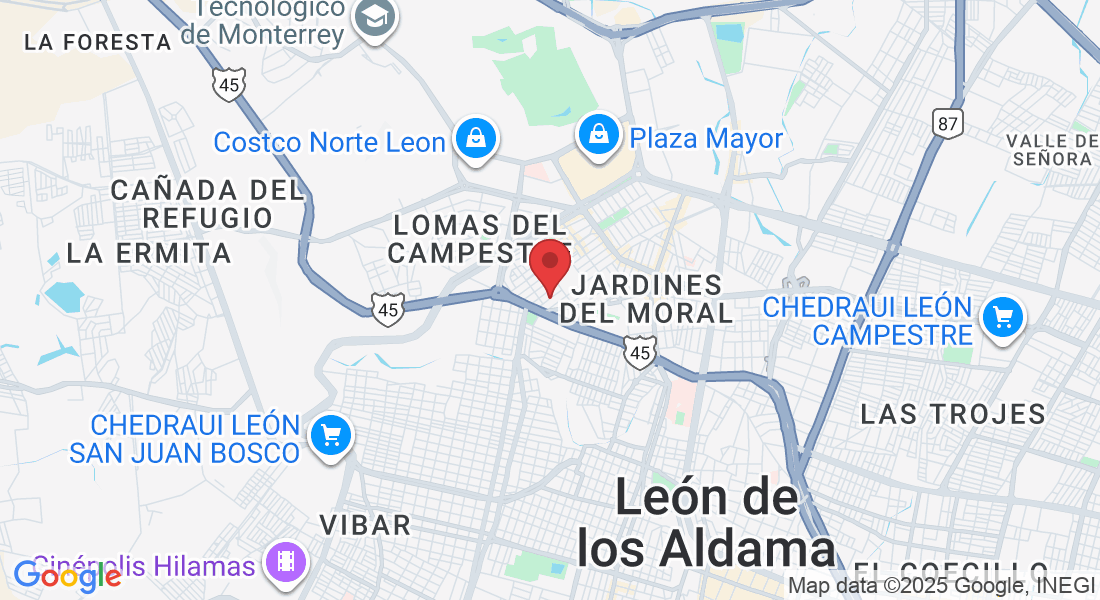 C. Pedro Lyonnet 136, Panorama, 37160 León de los Aldama, Gto., México