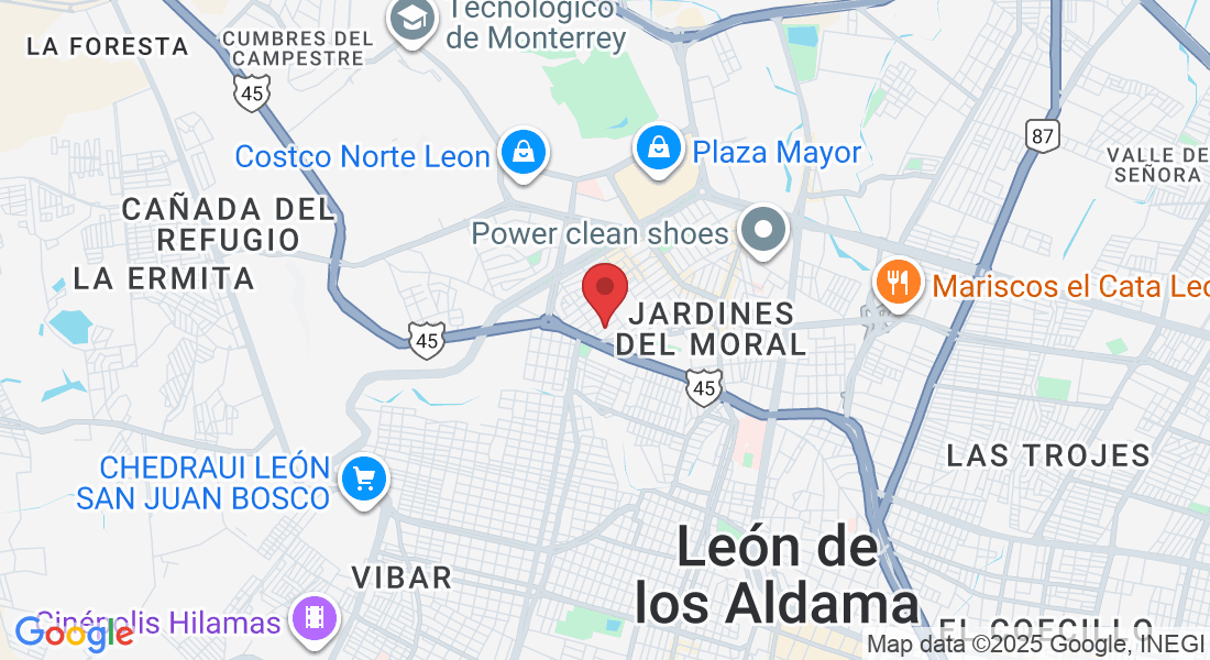 C. Pedro Lyonnet 136, Panorama, 37160 León de los Aldama, Gto., México