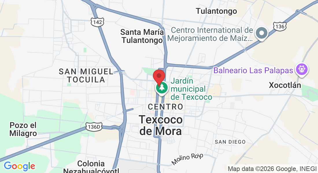 Calle Manuel González 116, Centro, 56100 Texcoco de Mora, Méx., México