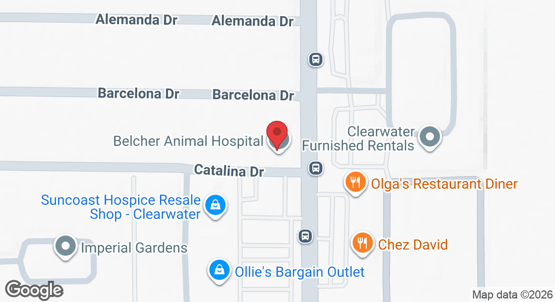 1432 S Belcher Rd, Clearwater, FL 33764, USA