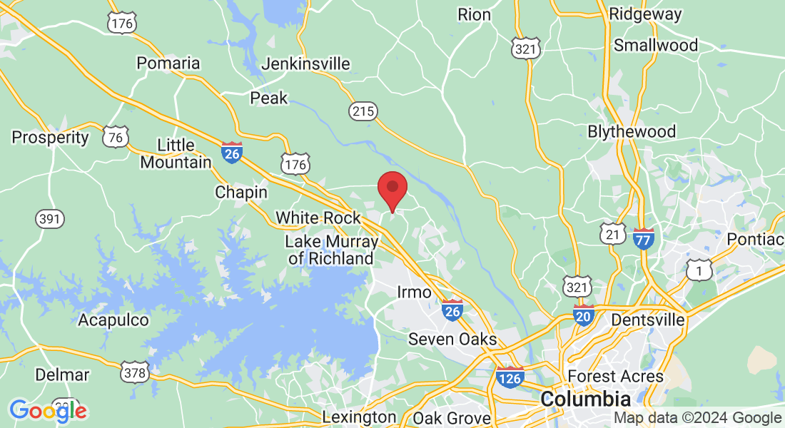 205 Stonemede Dr, Irmo, SC 29063, USA