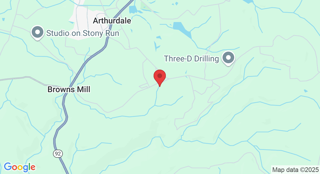 1726 Dogtown Rd, Reedsville, WV 26547, USA