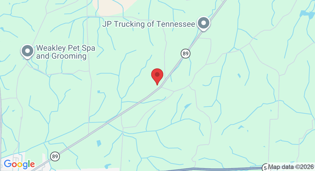 1973 Palmersville Hwy #89, Dresden, TN 38225, USA