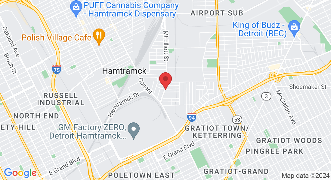 8228 Mt Elliott St, Detroit, MI 48211, USA