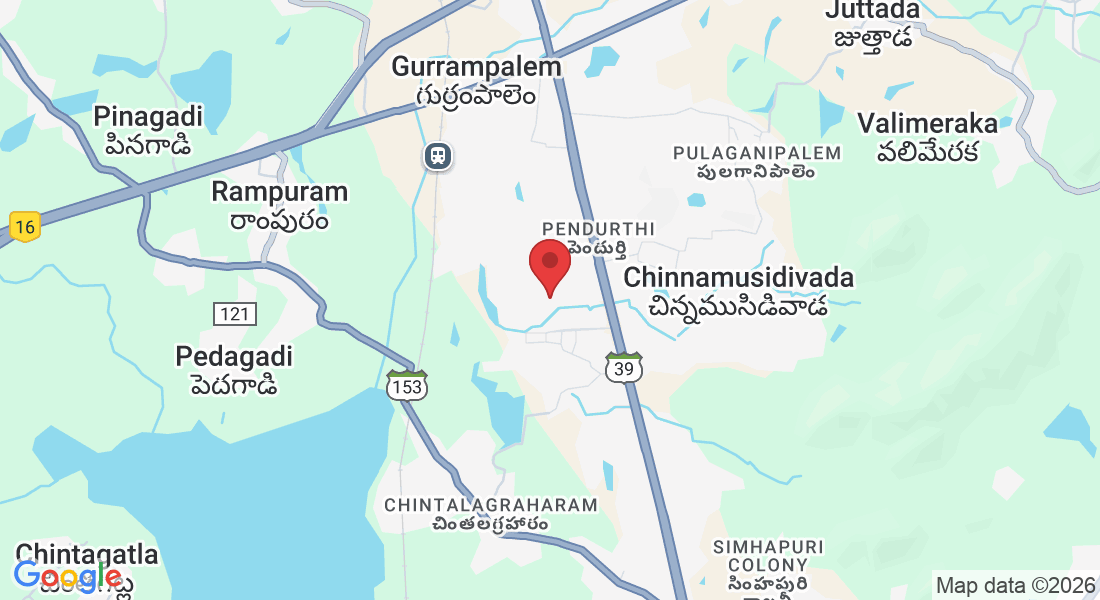 Chinnamushidiwada, Pendurthi, Visakhapatnam, Andhra Pradesh, India