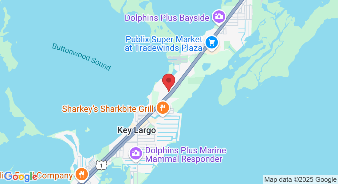 100410 Overseas Hwy suite 201, Key Largo, FL 33037, USA