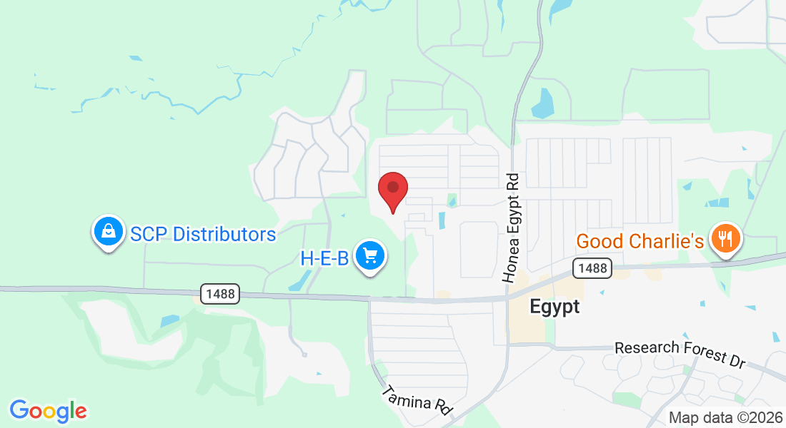 33227 Forest W St, Magnolia, TX 77354, USA