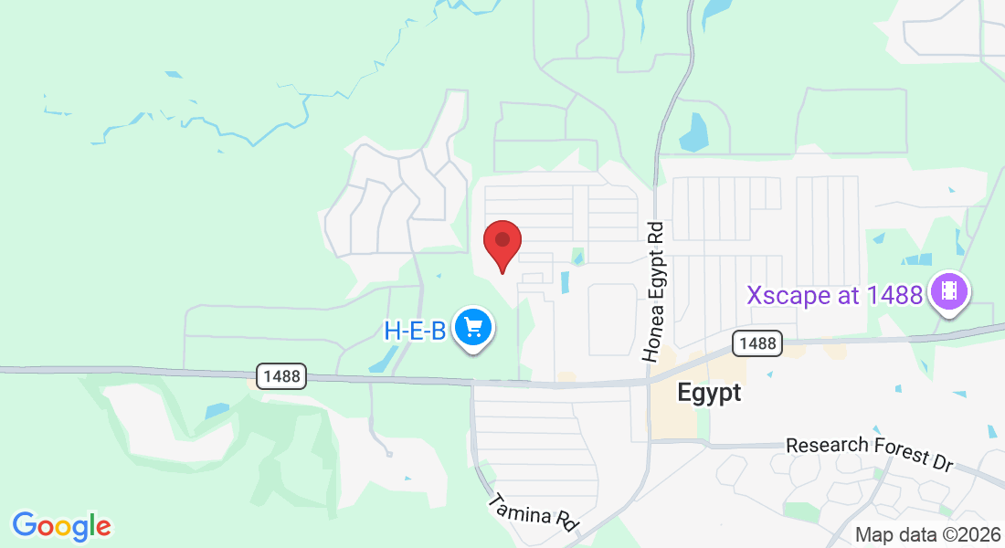 33227 Forest W St, Magnolia, TX 77354, USA