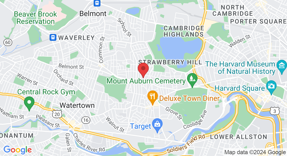 19 Springfield St, Belmont, MA 02478, USA