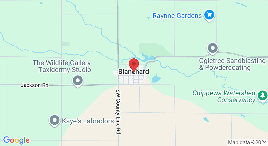402 Main St, Blanchard, MI 49310, USA