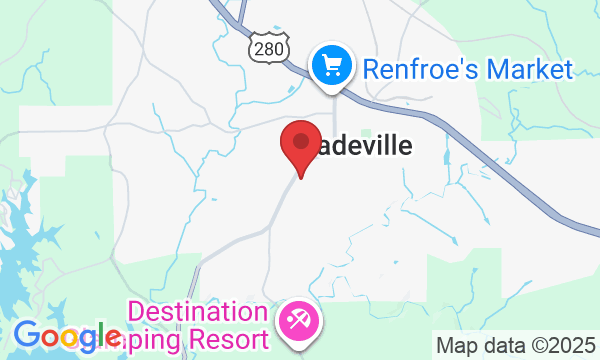 165 Landing Ln, Dadeville, AL 36853, USA