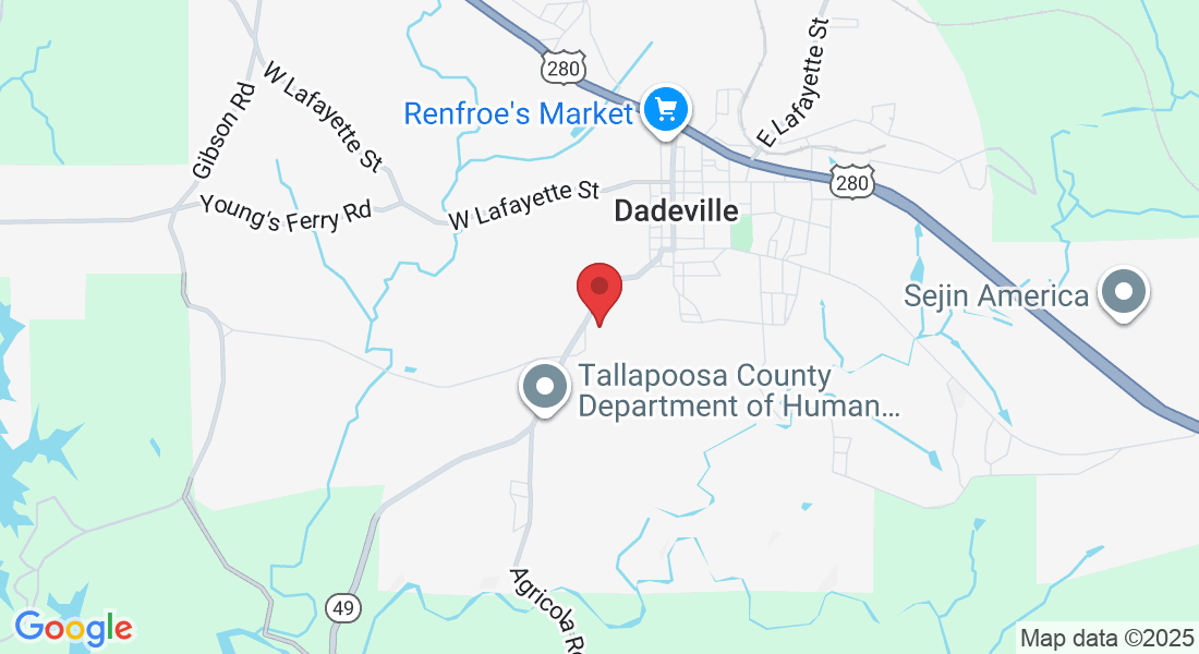 165 Landing Ln, Dadeville, AL 36853, USA