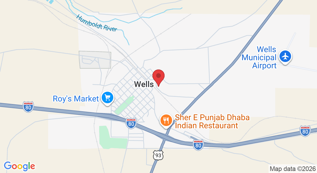 623 8th St, Wells, NV 89835, USA