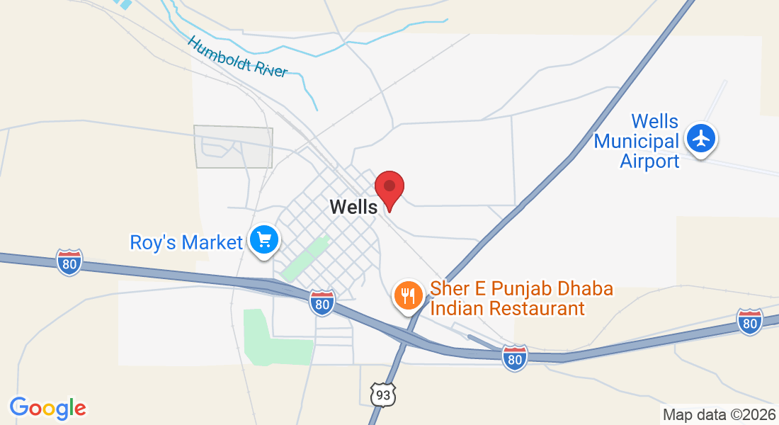 623 8th St, Wells, NV 89835, USA