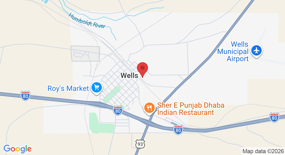 623 8th St, Wells, NV 89835, USA
