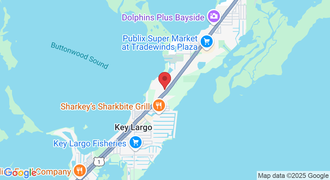100410 Overseas Hwy suite 201, Key Largo, FL 33037, USA