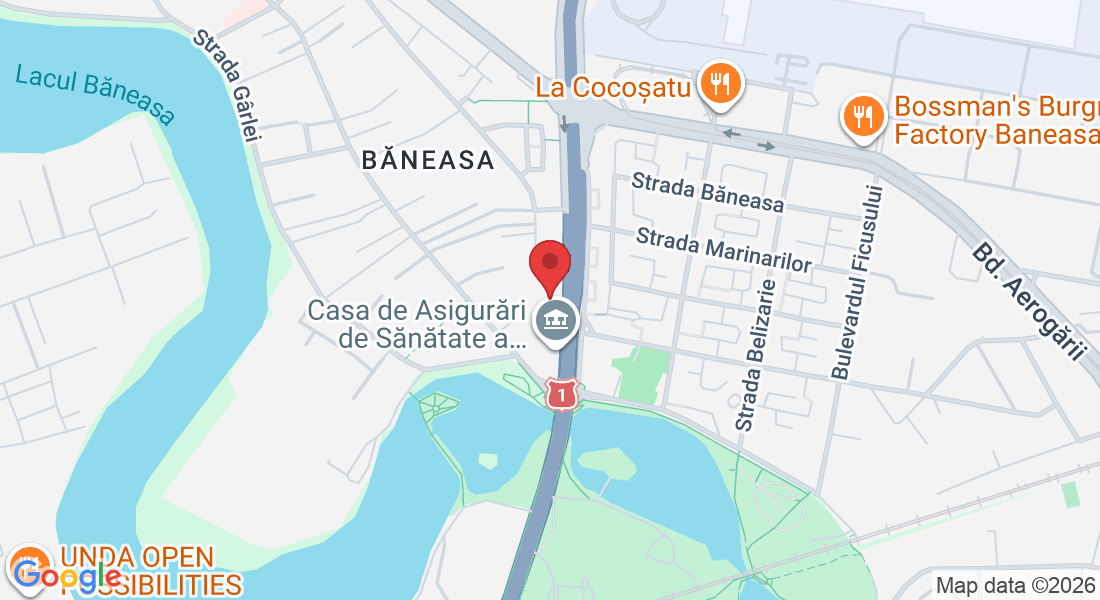 Șoseaua București-Ploiești 19-21, București 077190, Romania