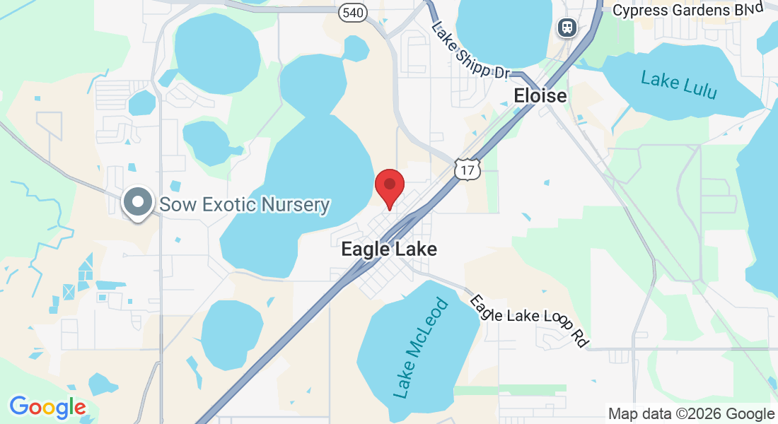 355 Gilbert St, Eagle Lake, FL 33839, EE. UU.